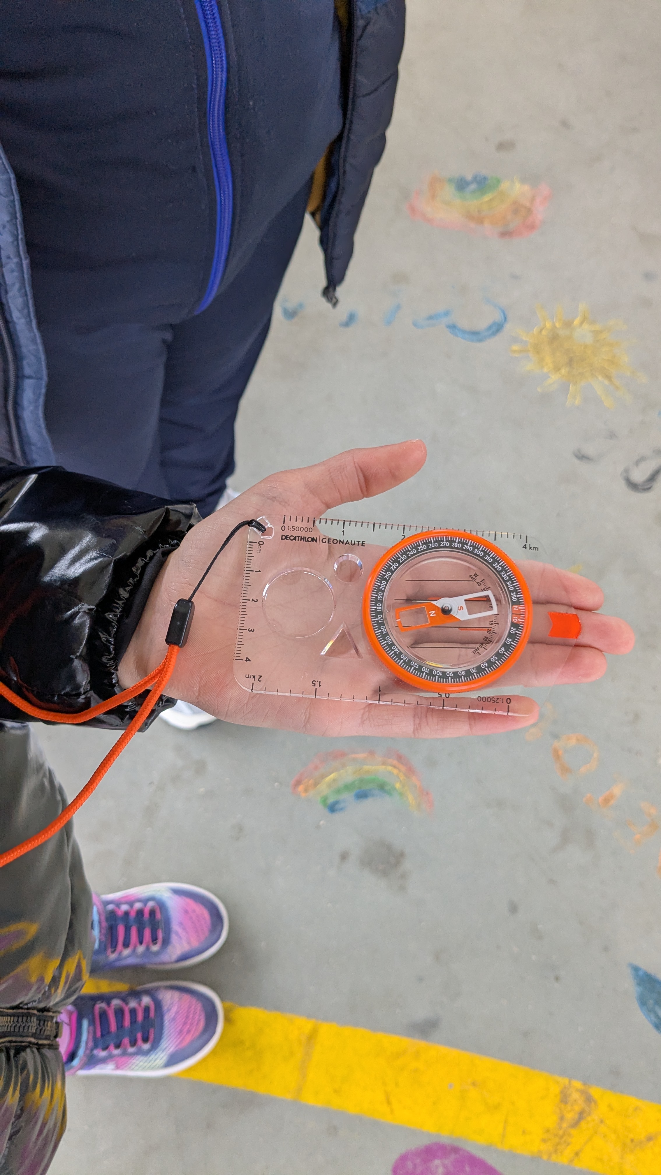 Orientación brújula