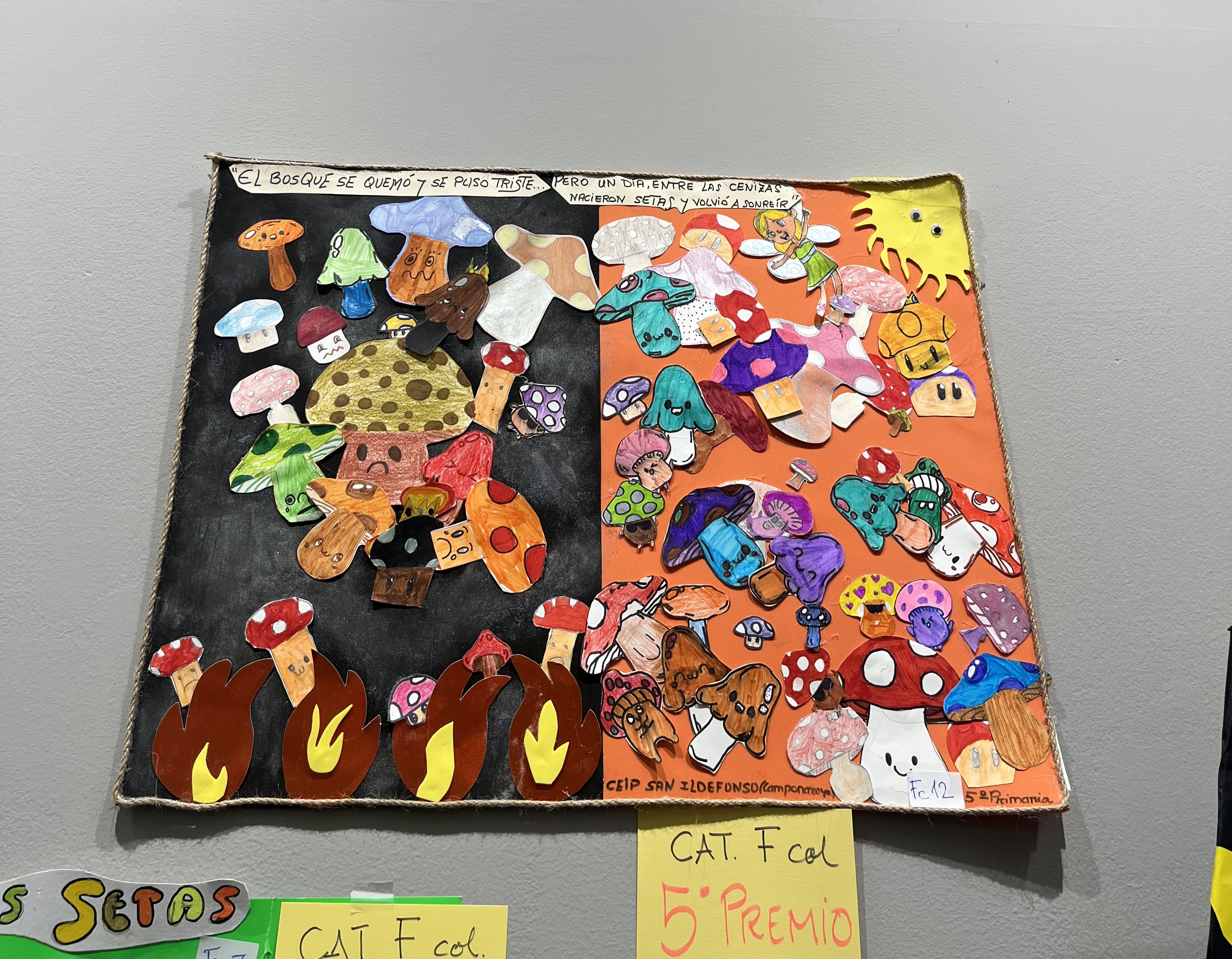 Setas 2025 5º Setas 2025 5º